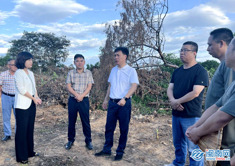 Pg电子游戏：周末不停歇！华安县领导带队推进征迁工作(图1)
