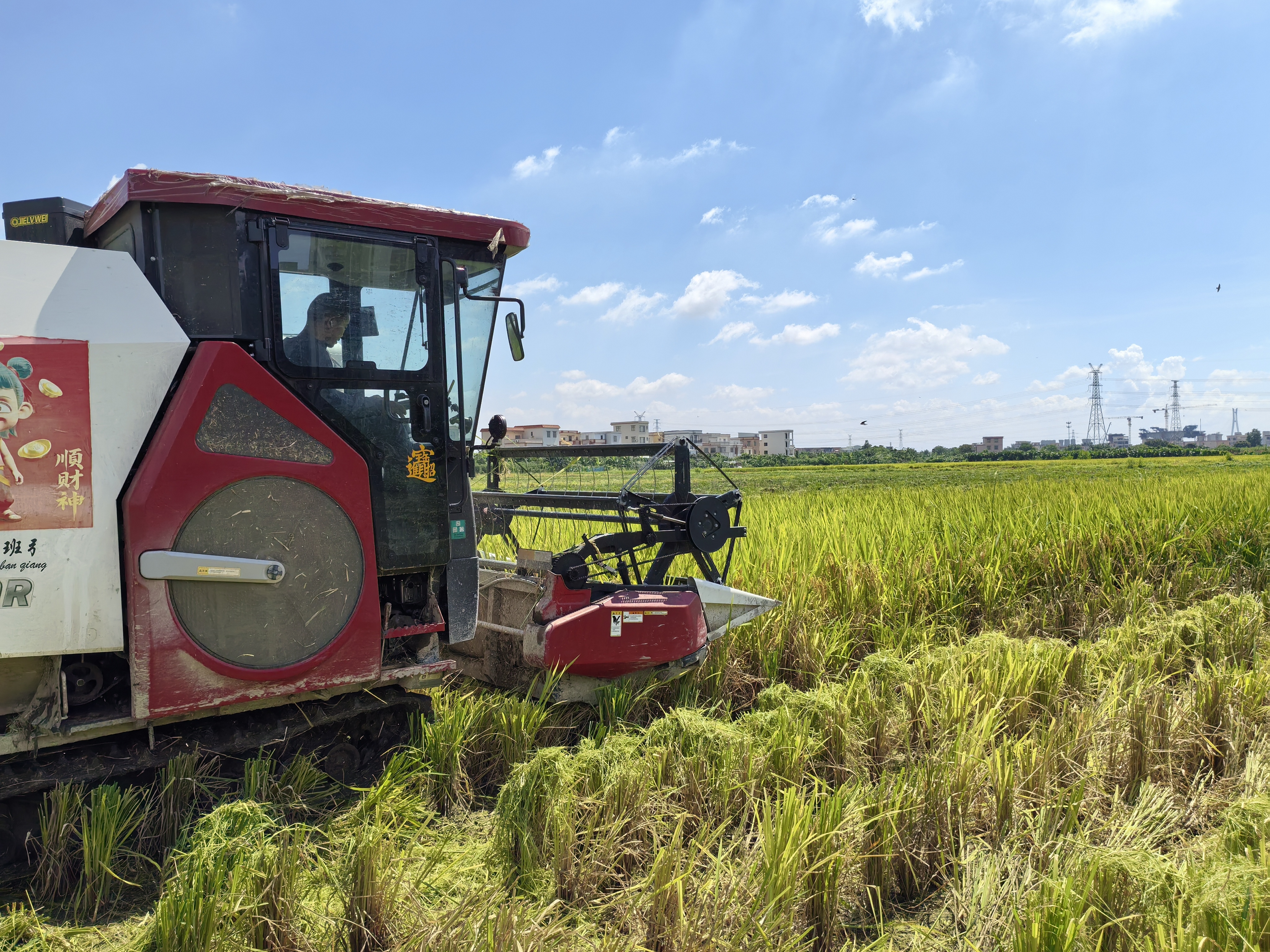 Pg电子平台:数字赋能结硕果!中山“百千万工程”点亮乡村致富路(图4)