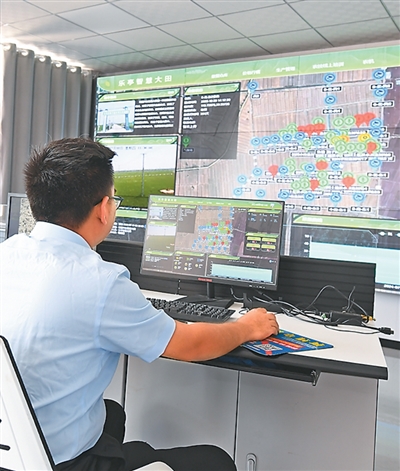 Pg电子平台：人民日报看河北｜河北村里有“数”(图1)