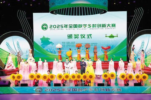 Pg电子游戏:2025年全国数字乡村创新大赛结果出炉!纵览(河北)传媒有限公司获突出贡献奖(图3)