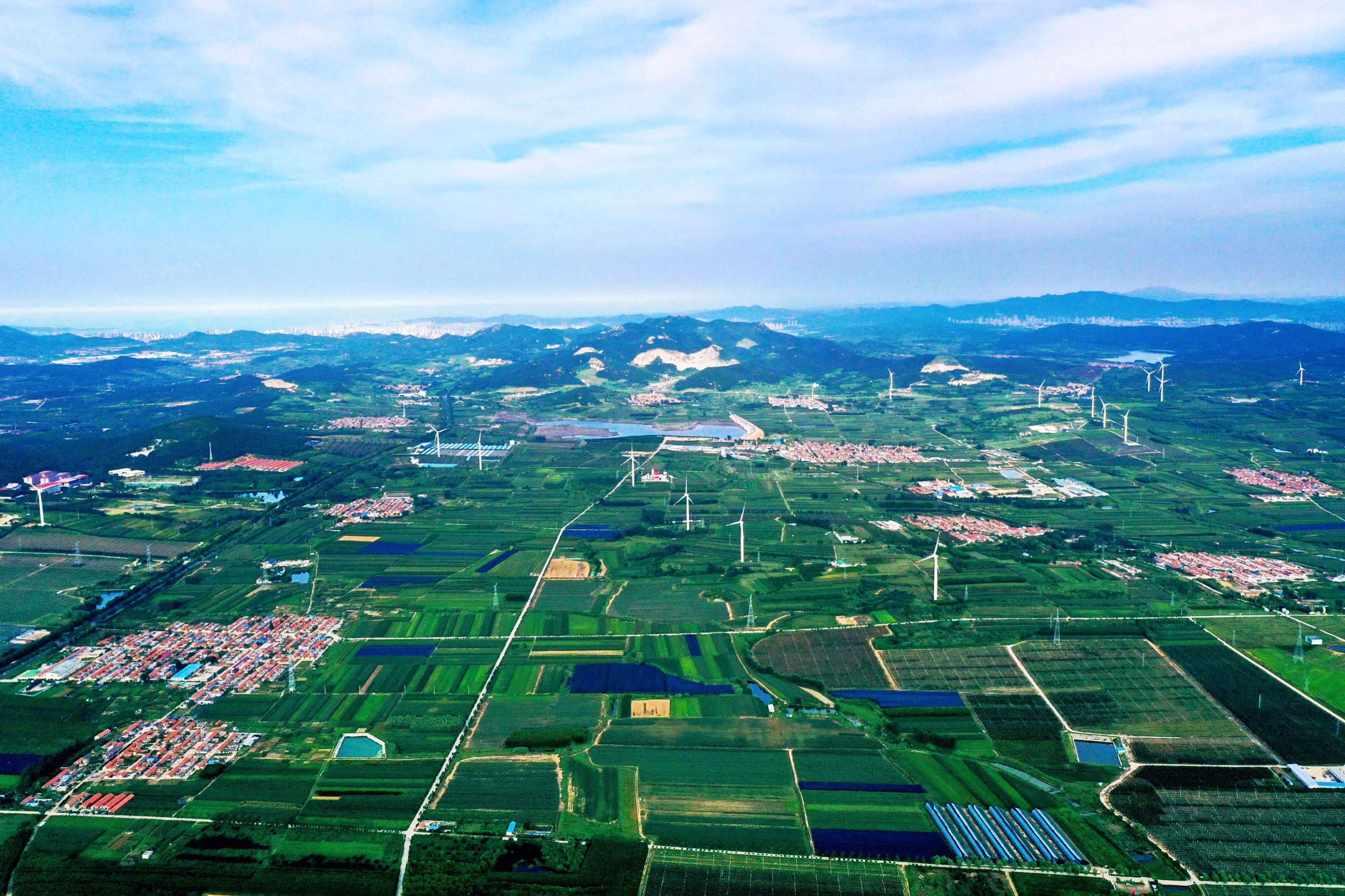 Pg电子游戏：威海市数字乡村建设工作现场推进会议走进临港区(图1)