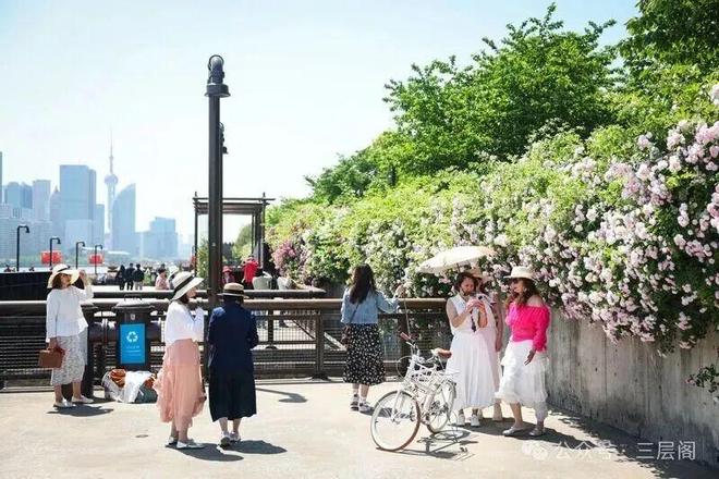 Pg电子游戏：上海最“多维”的区(图5)