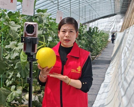 Pg电子游戏：数字技术深耕智慧农业齐鲁沃土结出“科技硕果”(图2)