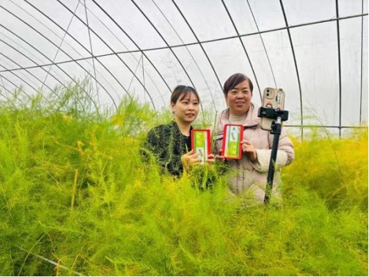 Pg电子游戏：数字技术深耕智慧农业齐鲁沃土结出“科技硕果”(图3)