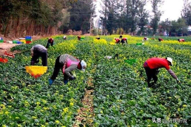 Pg电子平台：终于轮到乡村崛起了？30年基建增长后中国乡村经济潜力巨大(图9)