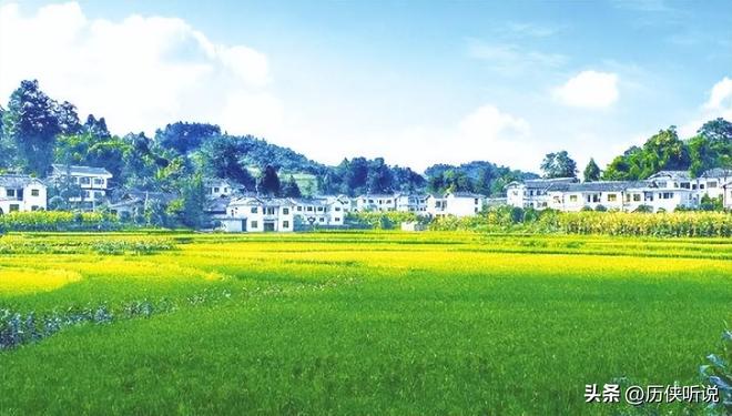 Pg电子平台：终于轮到乡村崛起了？30年基建增长后中国乡村经济潜力巨大(图8)