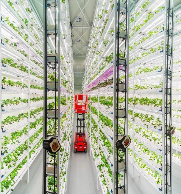 Pg电子平台：四川省数字乡村建设优秀案例公布成都温江国家农业科技园区3个案例上榜(图1)