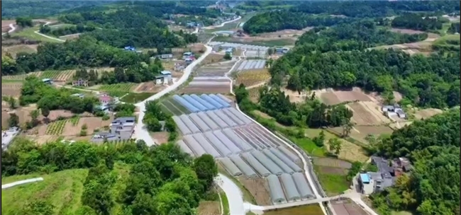 Pg电子平台：成都联通数字赋能乡村振兴简阳云龙镇方井村与红旗村的实践与成效(图1)