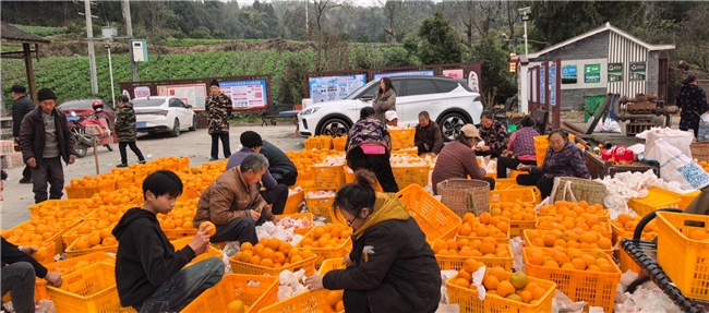 Pg电子平台：成都联通数字赋能乡村振兴简阳云龙镇方井村与红旗村的实践与成效(图2)