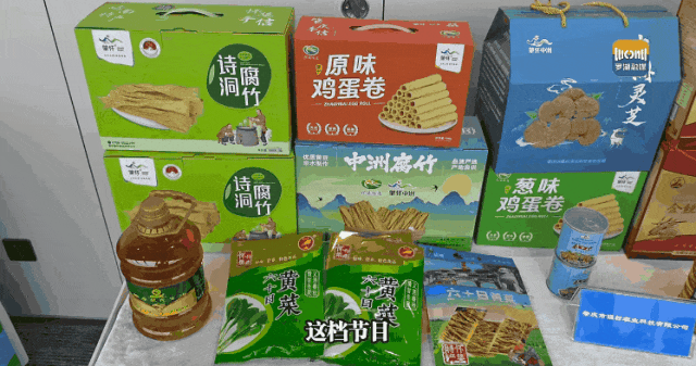 一批文化项目在深圳罗湖发布助力乡村振兴(图3)