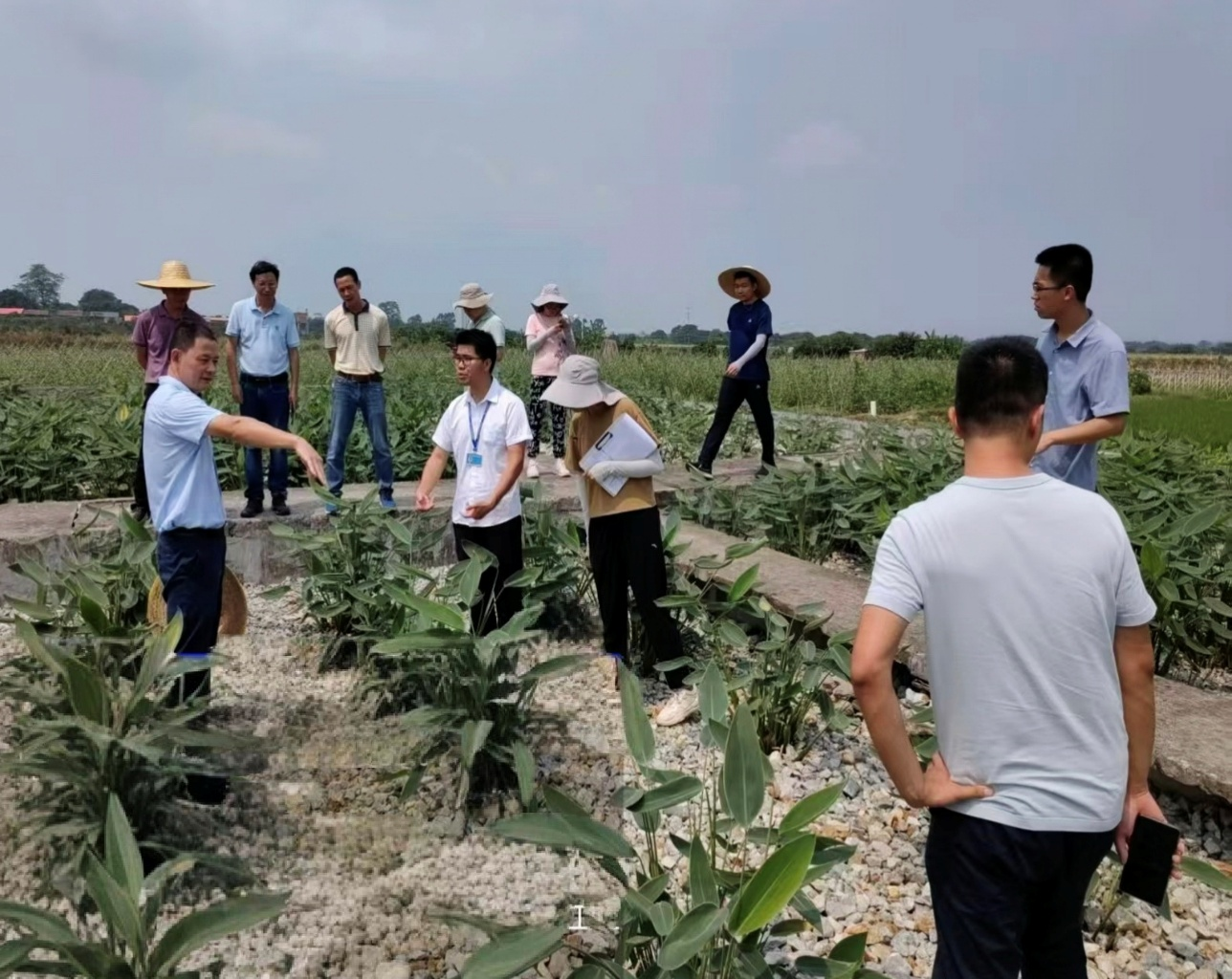 Pg电子平台：华南农大：绿色引擎与数字驱动绘就乡村“富春山居图”(图1)