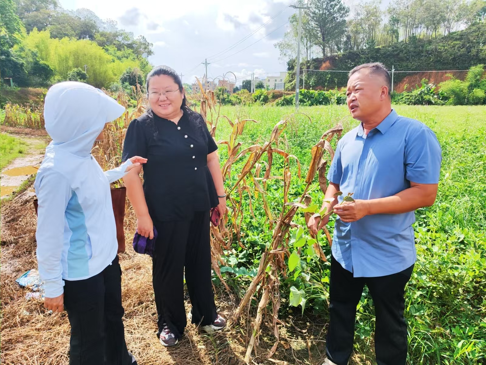 Pg电子平台：华南农大：绿色引擎与数字驱动绘就乡村“富春山居图”(图5)