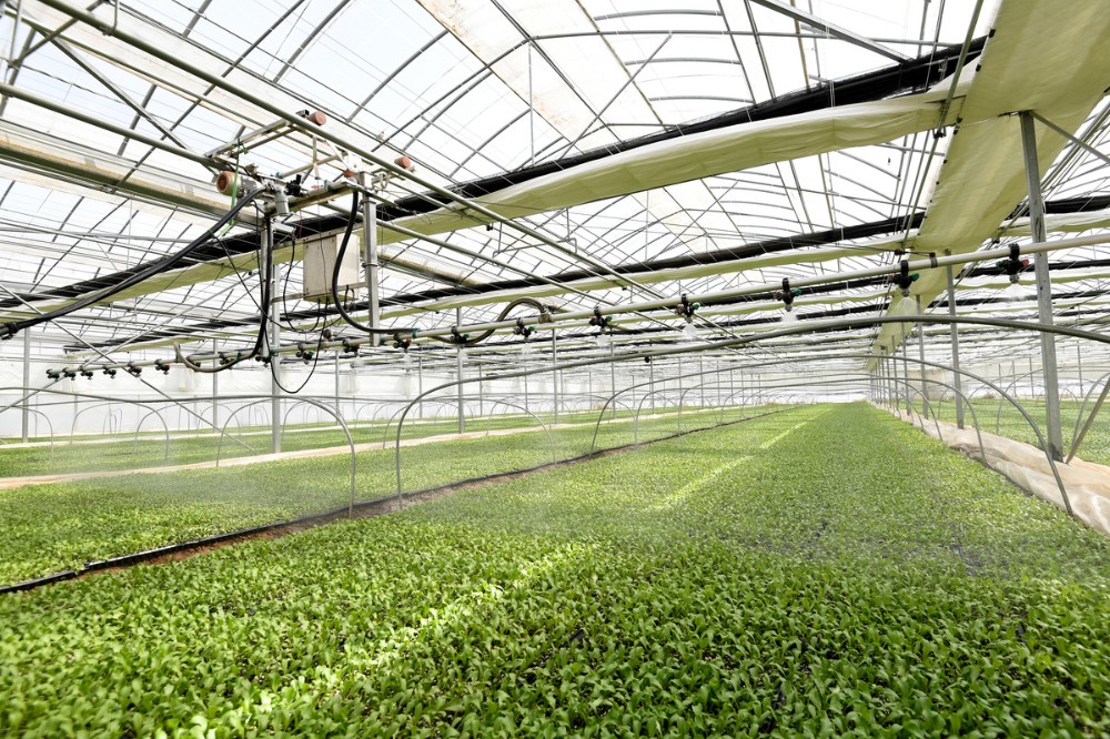 Pg电子平台：云端“智”控田间“慧”收——张家口智慧农业为乡村振兴赋能增效(图1)