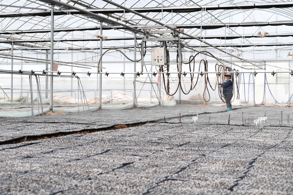 Pg电子平台：云端“智”控田间“慧”收——张家口智慧农业为乡村振兴赋能增效(图2)