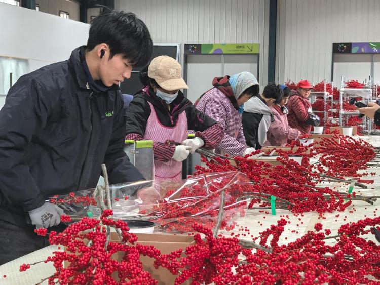 Pg电子游戏：蹲点调查｜片区化推进乡村振兴的山东实践：从“连片”向“深融”(图3)