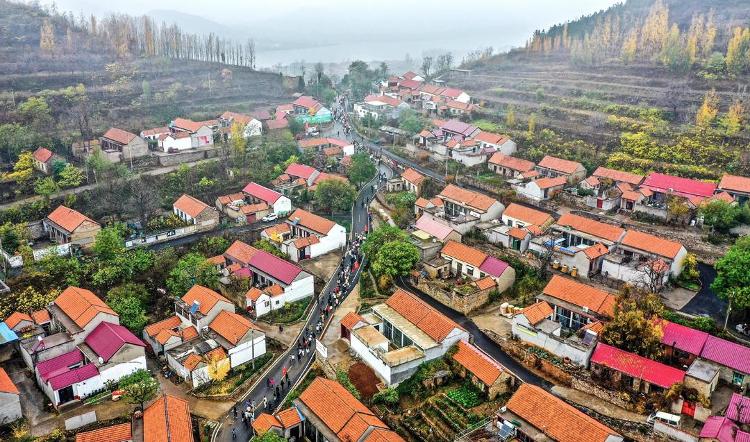 Pg电子游戏：蹲点调查｜片区化推进乡村振兴的山东实践：从“连片”向“深融”(图1)