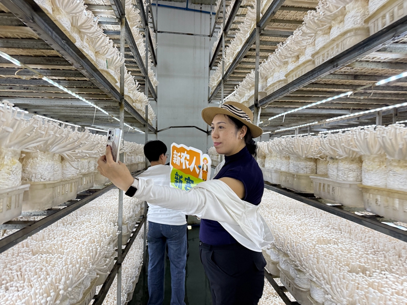 Pg电子游戏平台：遂宁船山区打造“新农人”主播矩阵激活乡村经济(图1)