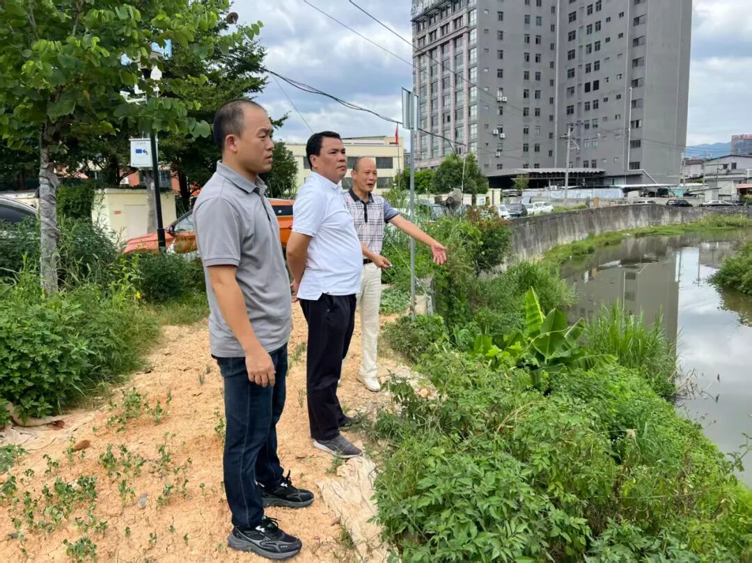 Pg电子游戏平台：完成投资3651亿元！城厢镇项目建设超时序推进！(图5)