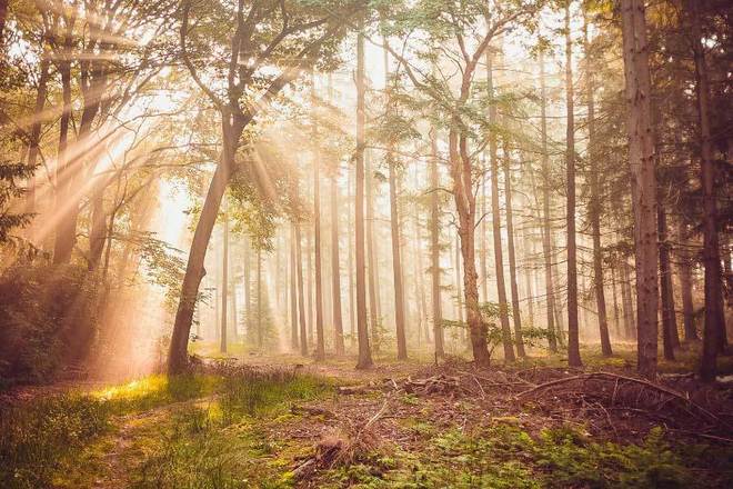Pg电子平台:数字乡村建设步伐加快(图2)