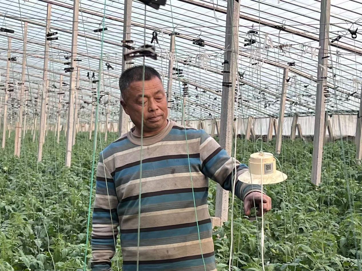 Pg电子游戏：农行山东省分行：以“大棚保”破题数字金融赋能乡村振兴(图1)