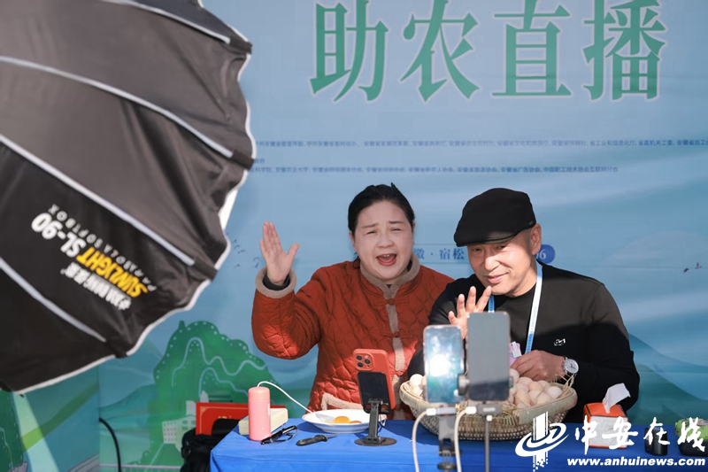 Pg电子游戏平台：中安观察从田间到云端一场电商嘉年华如何引爆乡村特色产业？(图4)