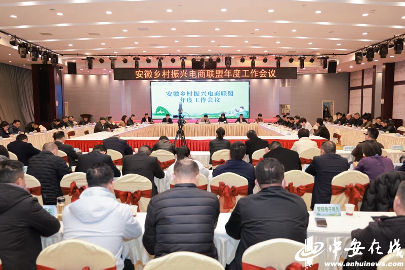 乡村振兴“智囊团”来了!安徽乡村振兴电商联盟智库成立(图1)