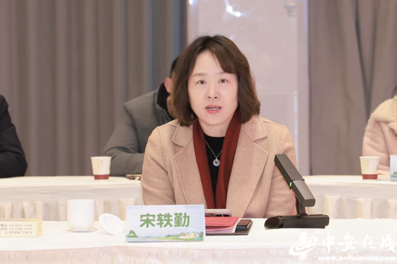 乡村振兴“智囊团”来了!安徽乡村振兴电商联盟智库成立(图3)