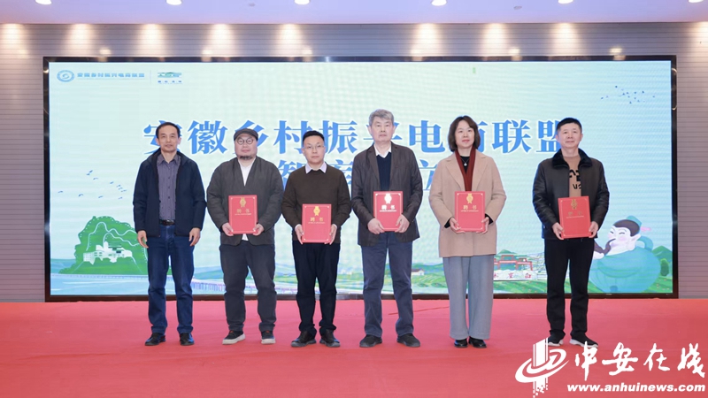 乡村振兴“智囊团”来了!安徽乡村振兴电商联盟智库成立(图2)