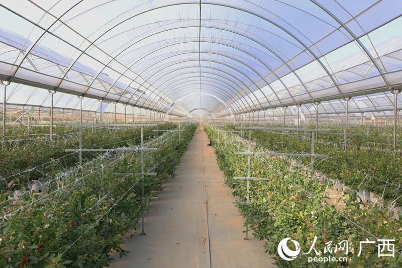 Pg电子平台:把AI“种”在地里(图1)