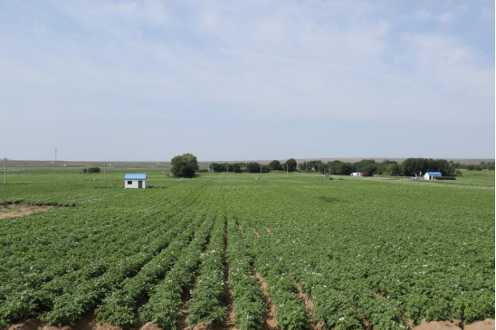 Pg电子游戏:内蒙古鄂尔多斯市鄂托克旗:智慧农业让乡村振兴提“智”增速(图1)
