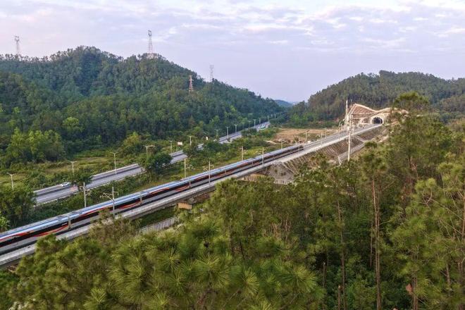 Pg电子游戏平台:今天广湛高铁正式通车!(图12)