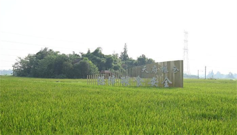 Pg电子游戏:农行四川省分行:以金融创新为引领持续加大金融供给(图1)