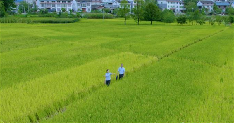 Pg电子游戏:农行四川省分行:以金融创新为引领持续加大金融供给(图2)