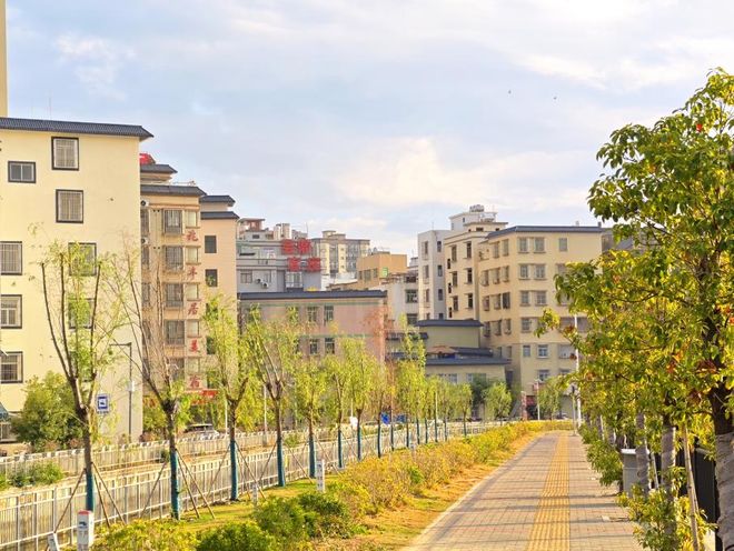 Pg电子平台：龙湖区珠池街道推动高铁枢纽片区实现美丽蝶变(图2)