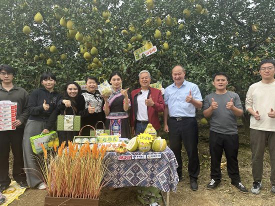 Pg电子平台:天翼数字生活公司为乡村振兴插上“数字翅膀”(图1)