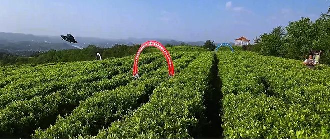 Pg电子游戏：小兰山的创新与实践：探索数字乡村共建共享(图5)