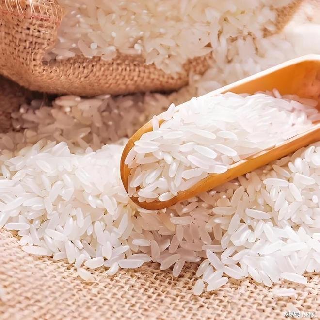 Pg电子游戏:数字乡村哪家强?云乡镇用六大硬核措施改写乡村命运(图2)