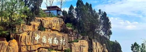 Pg电子游戏平台:推进乡村振兴提升议事能力——清泉镇廖家场社区赴中江挂面村开展实地培训(图1)