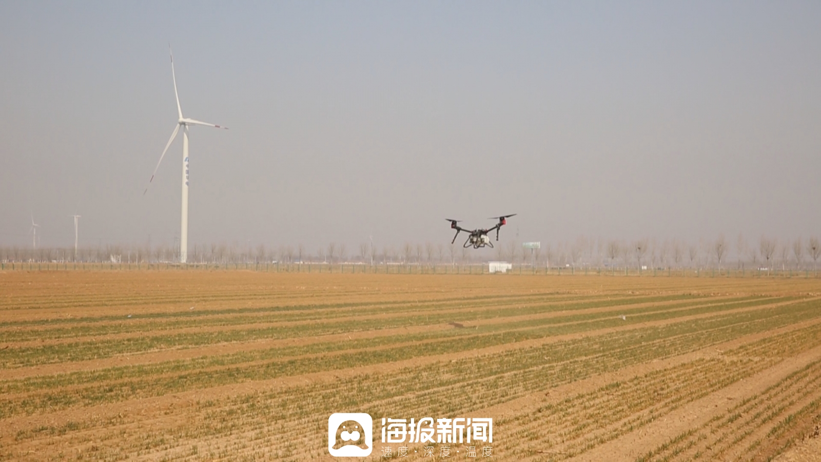 Pg电子平台:德州陵城区:数智赋能乡村产业_大众网(图1)