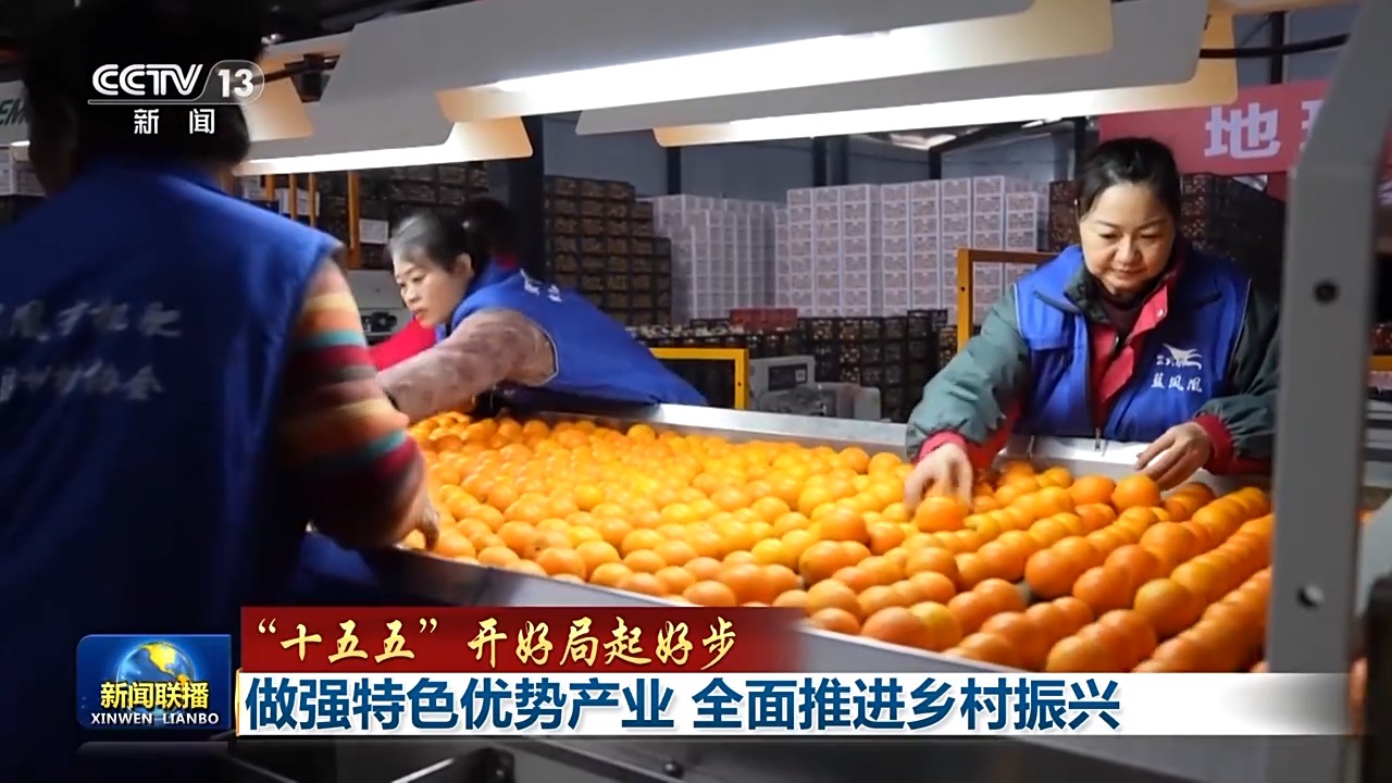 Pg电子平台:“十五五”开好局起好步丨做强特色优势产业全面推进乡村振兴(图1)