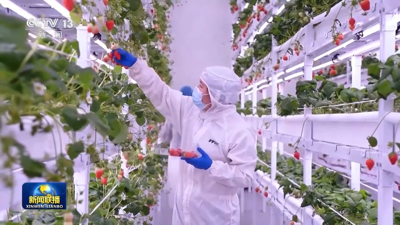 Pg电子平台:“十五五”开好局起好步丨做强特色优势产业全面推进乡村振兴(图4)