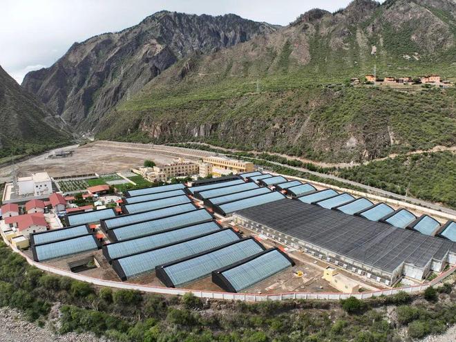 Pg电子平台:如何锚定甘孜州“十五五”数字乡村建设这场会议释放了什么信号?(图4)