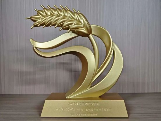 Pg电子游戏：双江镇《“红焰青锋”行动引领青年助力乡村振兴》成功入选新华网2025乡村振兴实践案例(图2)