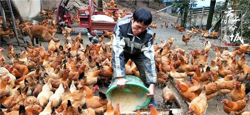 Pg电子游戏平台：襄阳这个直播间“播”出好年景(图2)