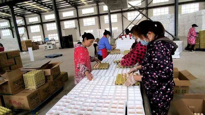 Pg电子游戏平台：襄阳这个直播间“播”出好年景(图5)