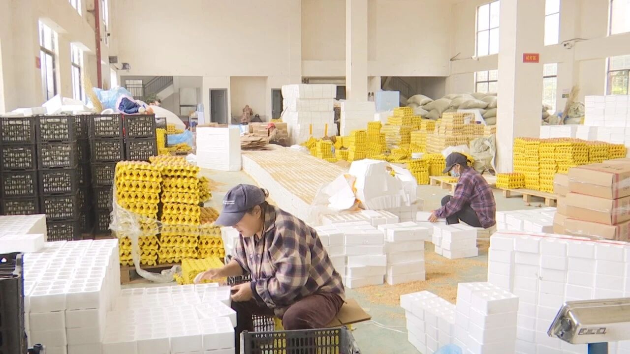 Pg电子游戏平台：襄阳这个直播间“播”出好年景(图8)