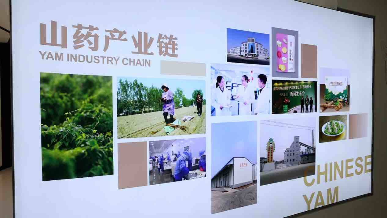 Pg电子游戏：菏泽陈集山药：一根“黄金条”走出乡村振兴新路子(图4)