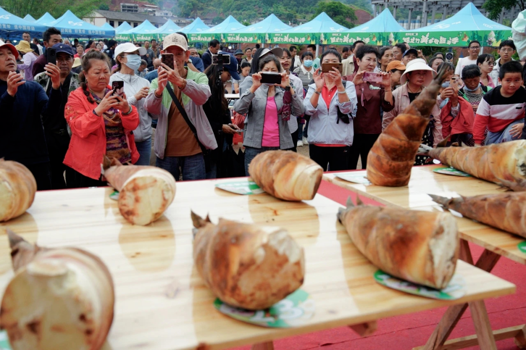 Pg电子游戏平台:云南省委书记王宁点赞!思茅甜龙竹崛起为第三大农业支柱产业(图6)