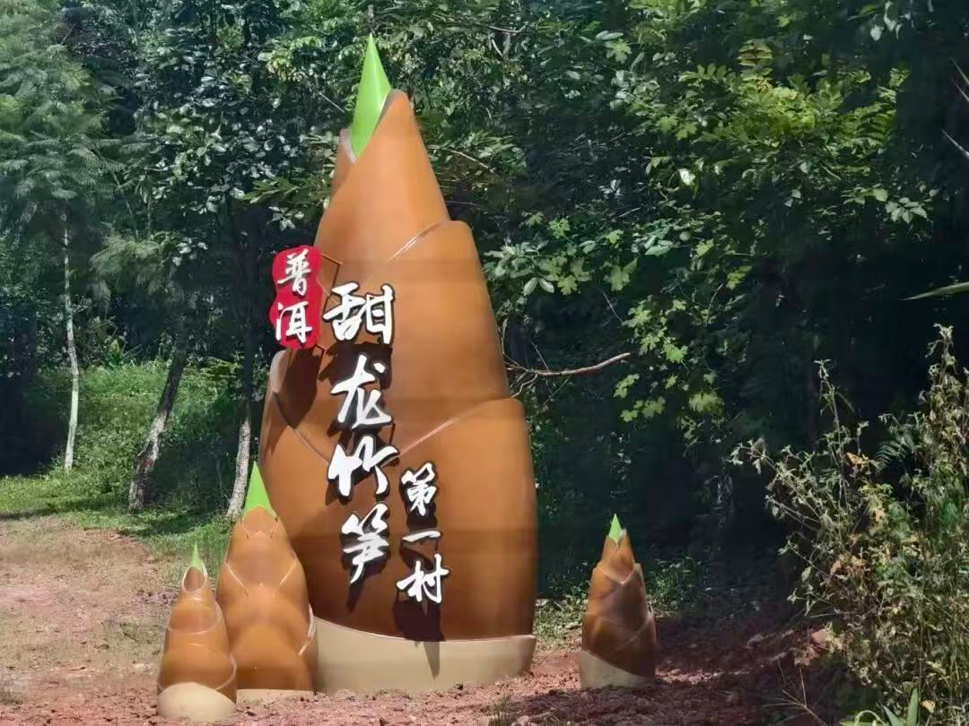 Pg电子游戏平台:云南省委书记王宁点赞!思茅甜龙竹崛起为第三大农业支柱产业(图7)