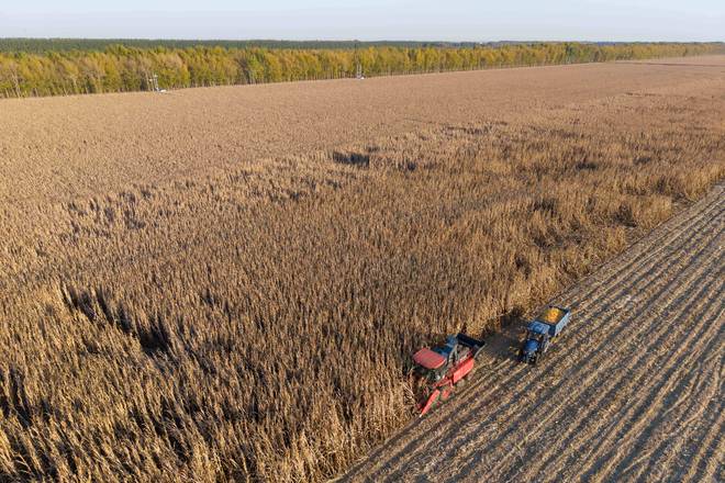 Pg电子游戏平台:镜观中国|影像回眸“十四五”——全面深化改革扩大高水平开放(图9)